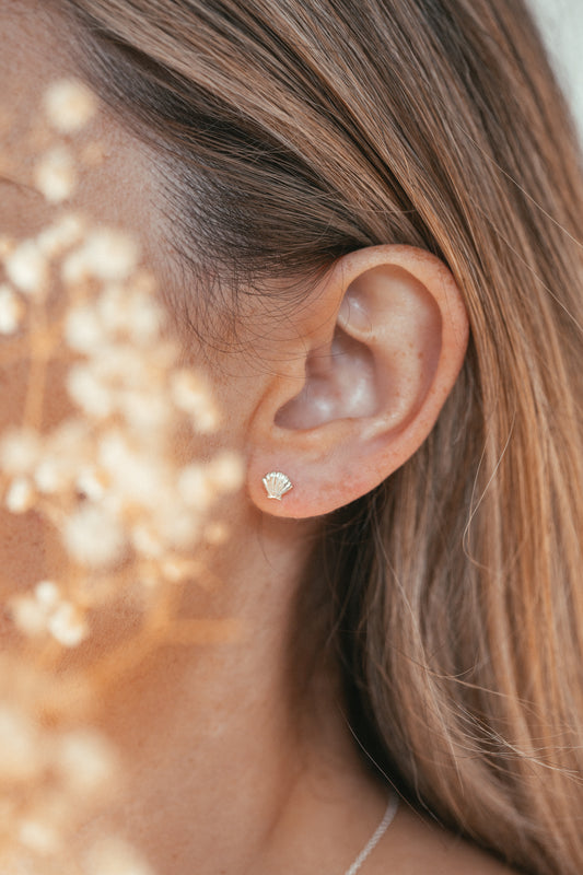 Dainty Shell Studs